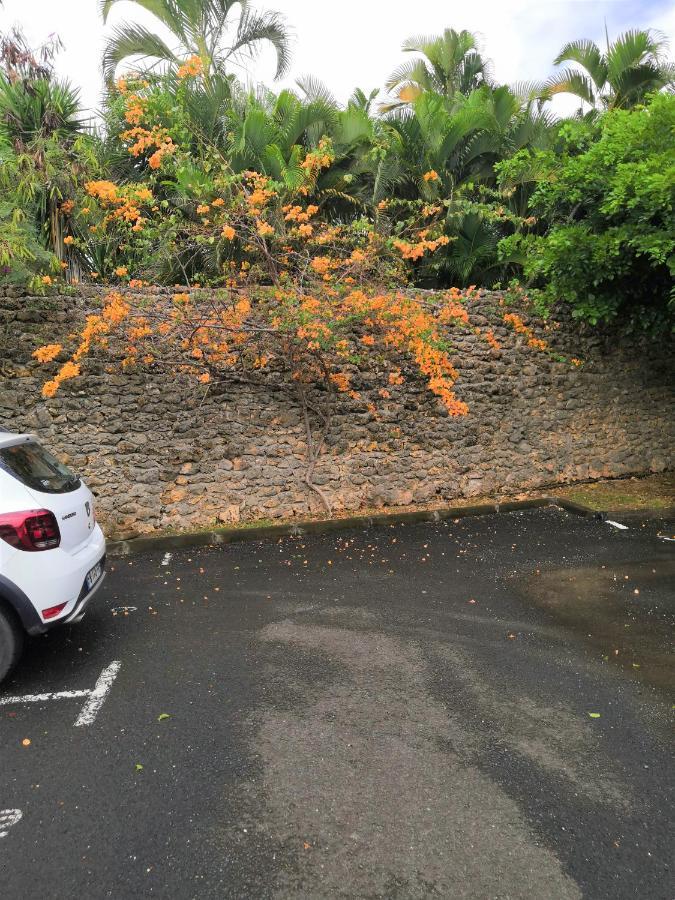Le Muscadier Sainte-Anne (Grande-Terre) Exterior foto
